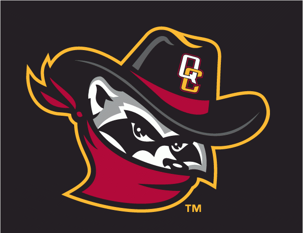 Quad Cities River Bandits 2008-2010 Cap Logo vinyl decal